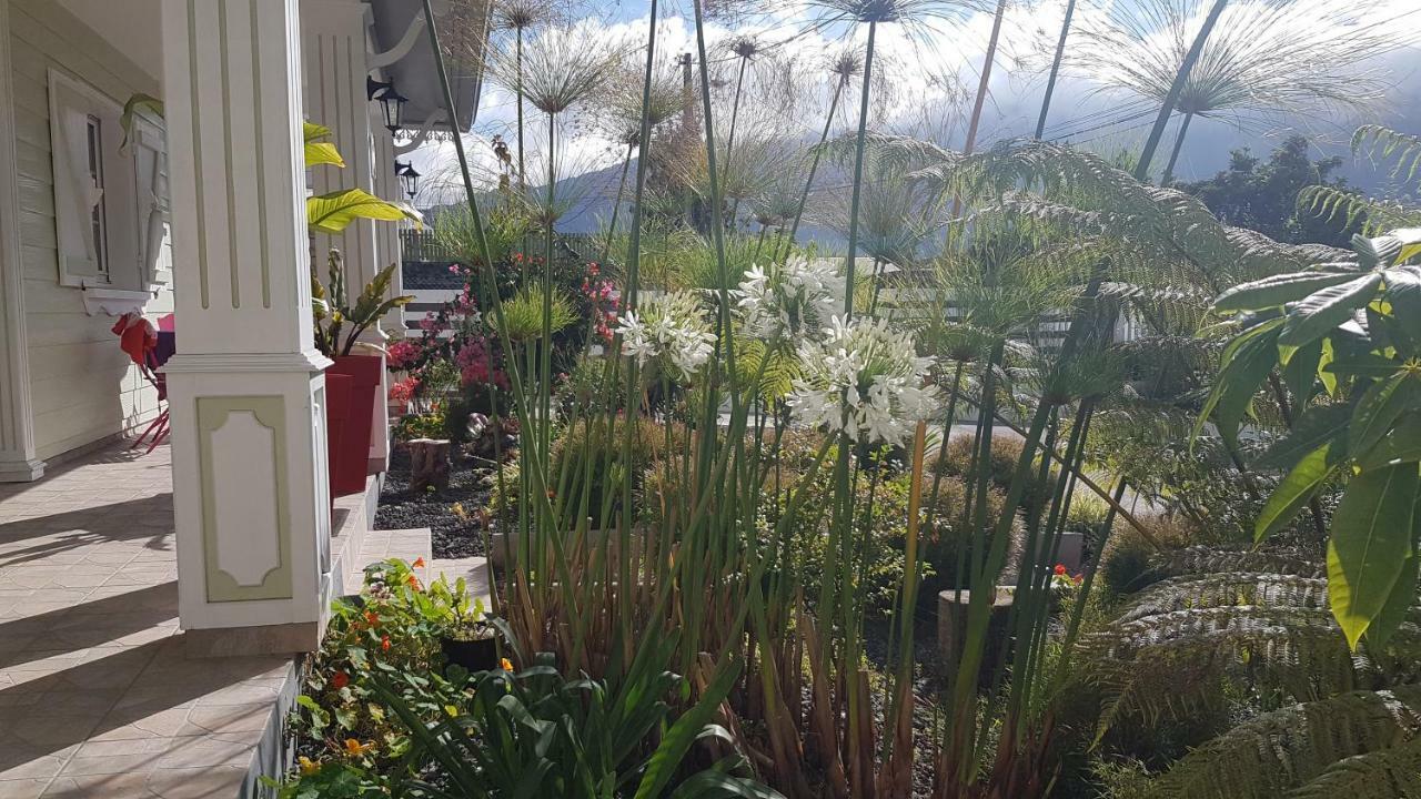 La Belle Creole Apartman Cilaos Kültér fotó